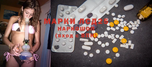 PSILOCYBIN Нефтегорск