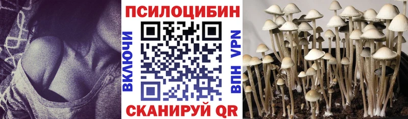shop состав  Чистополь  Галлюциногенные грибы прущие грибы 